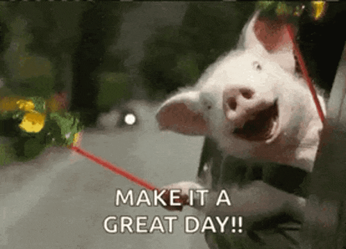 a picture of a pig with the words make it a great day written below it