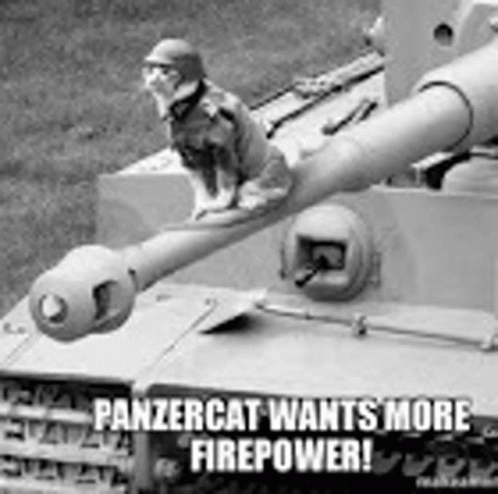 Panzer Cat Wants More Firepower GIF - Panzer Cat Wants More Firepower GIFs