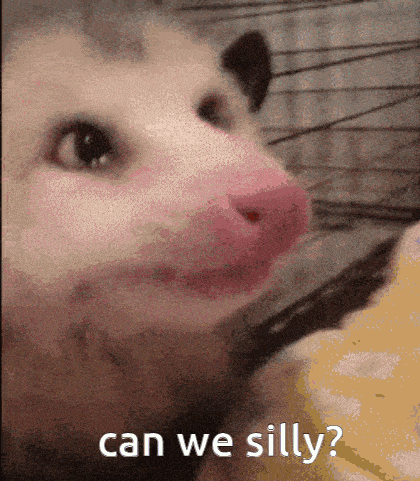a close up of an opossum with the words " can we silly " written below it
