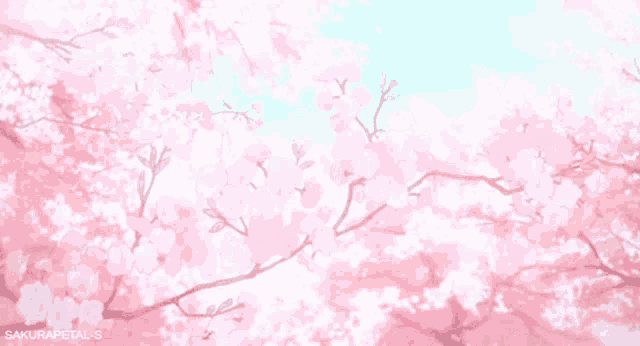 a cherry blossom tree with pink flowers and a blue sky
