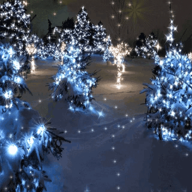 a snowy forest with trees decorated with blue and white lights