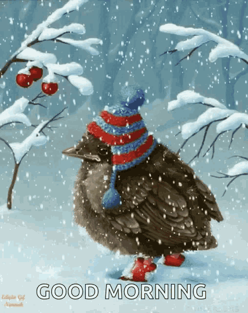a bird wearing a hat and red socks is walking in the snow