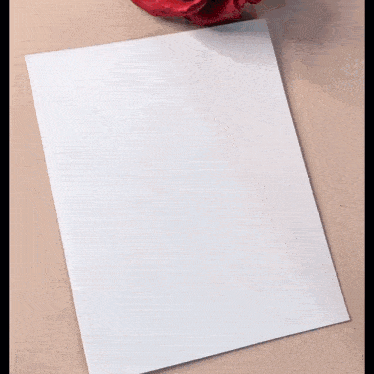 a person wearing black gloves holds a piece of white paper