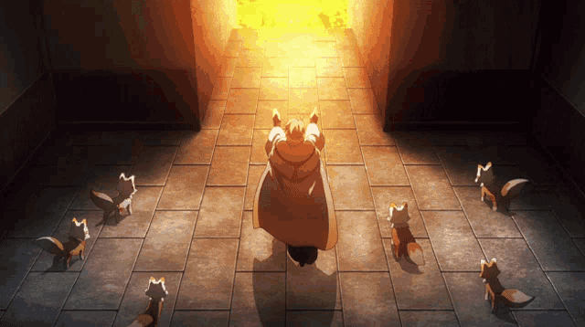 a group of foxes are standing around a man in a white coat