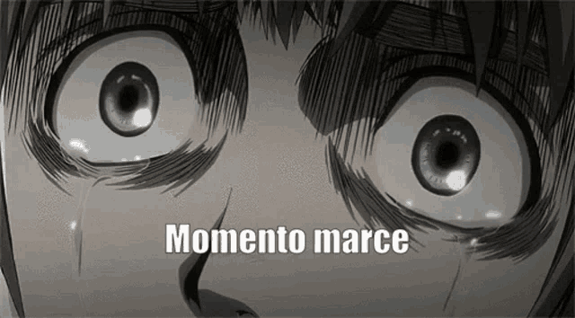 a close up of a person 's eyes with the words momento marce written on it .