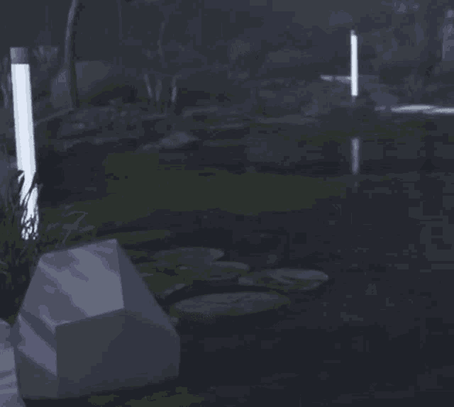 a pond with water lilies and a rock in the middle of it