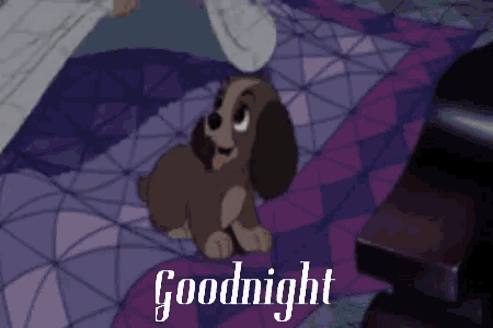 Goodnight Nini GIF - Goodnight Night Nini GIFs