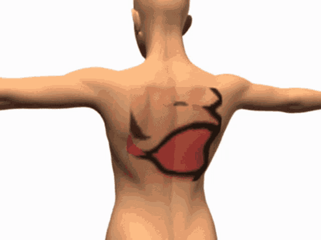a cartoon drawing of a woman 's back with a red heart drawn in the middle