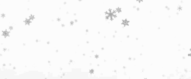 a bunch of snowflakes are falling on a white background