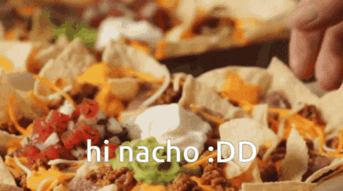a close up of a plate of nachos with the words hi nacho : dd