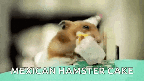 a hamster is eating a mexican hamster cake on a table .