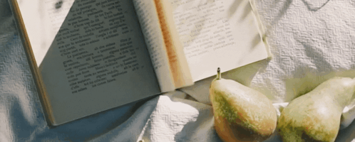 Aesthetic Book GIF - Aesthetic Book Notion GIFs