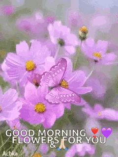 a butterfly is sitting on top of a purple flower with the words `` good morning flowers for you '' .