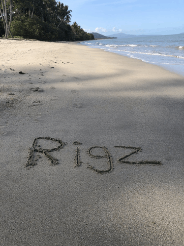 Rigz Family GIF - Rigz Family GIFs