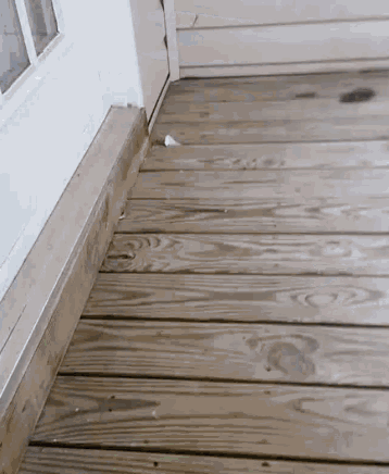 Floor Wood GIF - Floor Wood GIFs