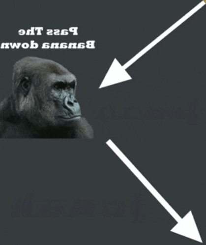 a picture of a gorilla with a banana in its mouth and arrows pointing down