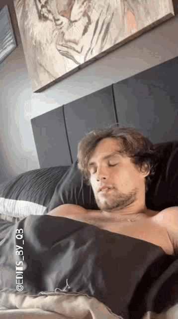 a shirtless man is sleeping on a bed under a painting