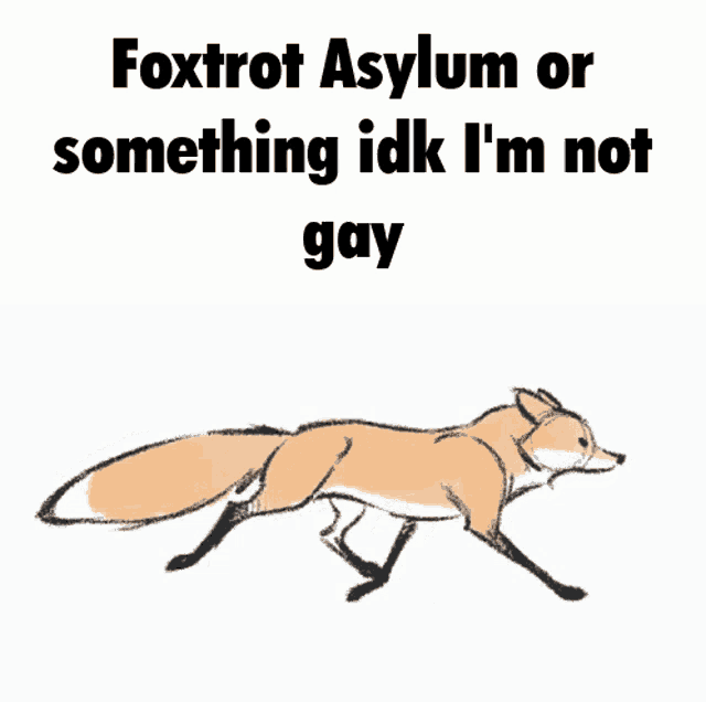a drawing of a fox with the words " foxtrot asylum or something idk i 'm not gay " below it