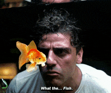 a man with a goldfish on his nose says " what the fish "