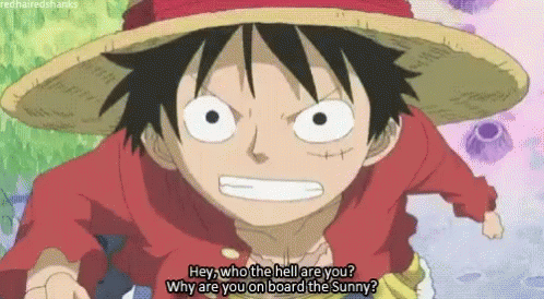 Luffy Who The Hell Are You GIF - Luffy Who The Hell Are You One Piece GIFs