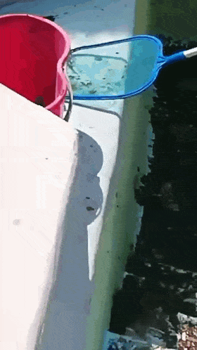 a red bucket and a blue scoop are sitting on the edge of a pool