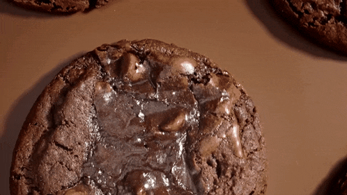 a close up of a brownie with chocolate chips on a table