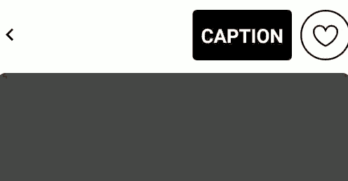 a picture of a caption button with a heart icon .