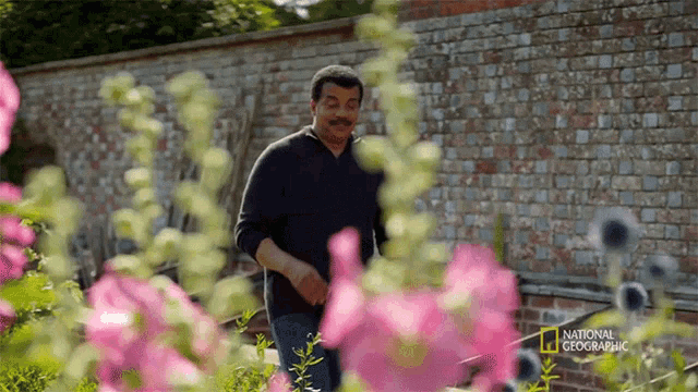 This Is Our First Contact Story Neil De Grasse Tyson GIF - This Is Our First Contact Story Neil De Grasse Tyson Cosmos GIFs