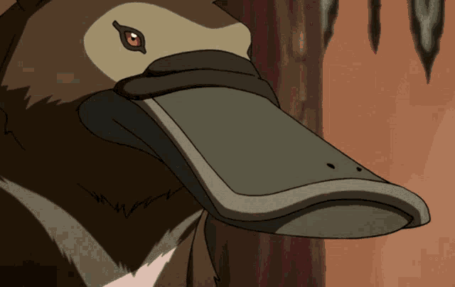 a close up of a duck 's beak with a red eye