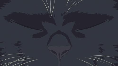 a close up of a cat 's eyes with a reflection of the moon in them
