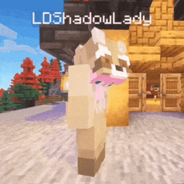 a screenshot of a minecraft game with the name shadowlady
