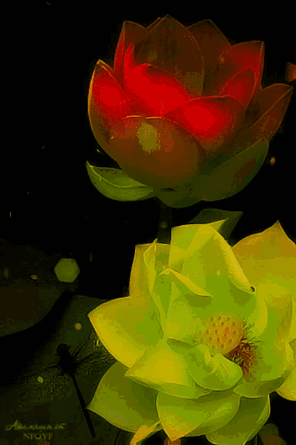 a yellow flower with a red center is next to a green flower