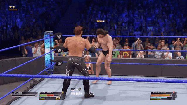 two wrestlers are in a wrestling ring and one has the word punisher on his chest