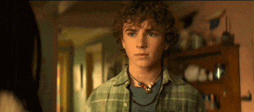 a young man with curly hair is wearing a plaid shirt and necklace