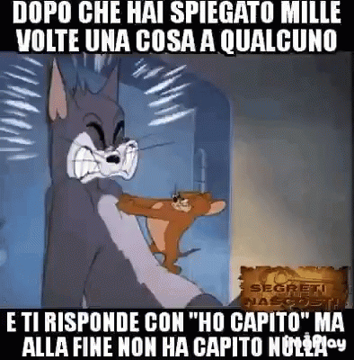 Tom And Jerry Non GIF - Tom And Jerry Non Capito GIFs