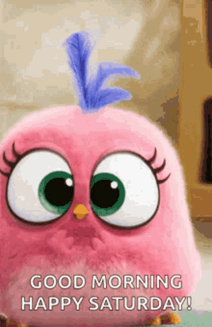 a pink stuffed bird with a blue feather on its head is saying `` good morning happy saturday '' .