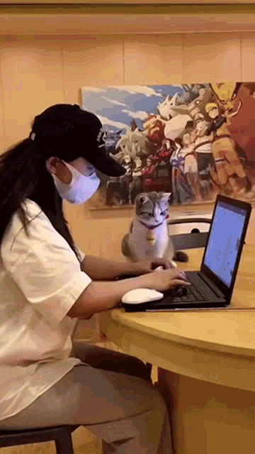 Confused Cat Cat Confused GIF - Confused Cat Cat Confused Distracted Cat GIFs