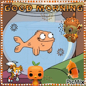 a picture of a fish in a bowl with the words good morning on it