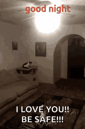 a picture of a living room with the words good night i love you be safe !!!