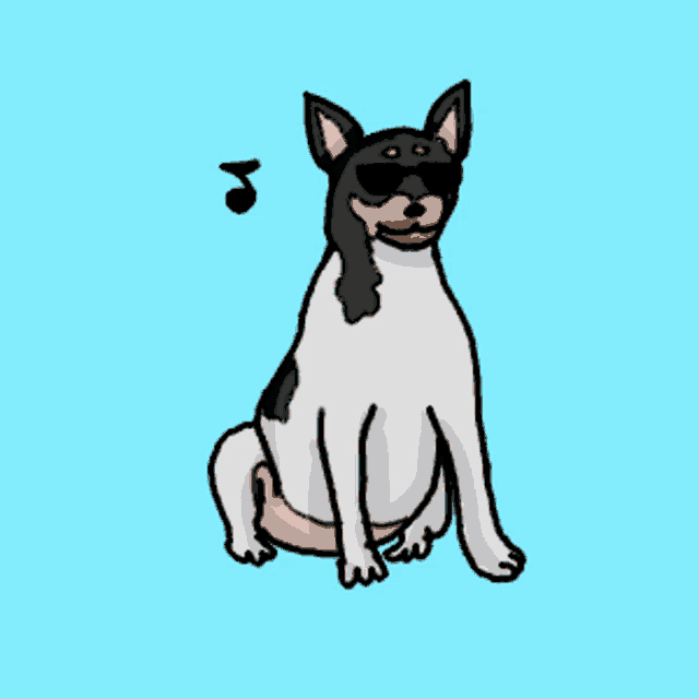 a black and white dog wearing sunglasses is sitting on a pink ball on a blue background