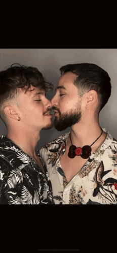 Kiss Gay Kiss GIF - Kiss Gay Kiss GIFs