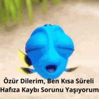 a blue fish with its eyes closed and the words " ozur dilerim ben kisa sureli hafiza kaybi sorunu yaşiyorum "