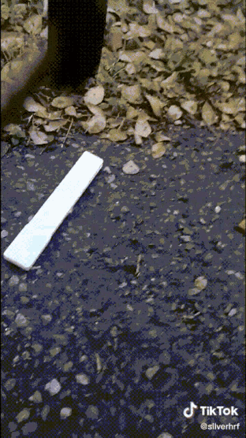 a white piece of paper is laying on the ground in a puddle with a tiktok watermark