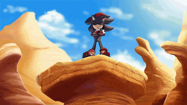 shadow the hedgehog is standing on top of a rock