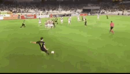 a man is kicking a soccer ball on a soccer field with a crowd in the background .