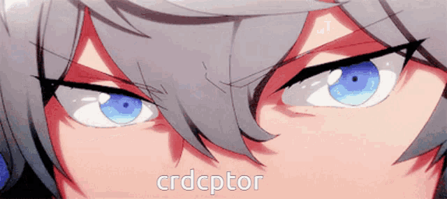 a close up of a person 's eyes with the word crdcptor written below them