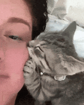a cat is sniffing a woman 's face while sleeping
