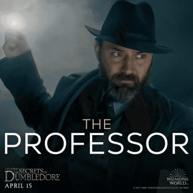 a poster for the wizarding world movie the professor