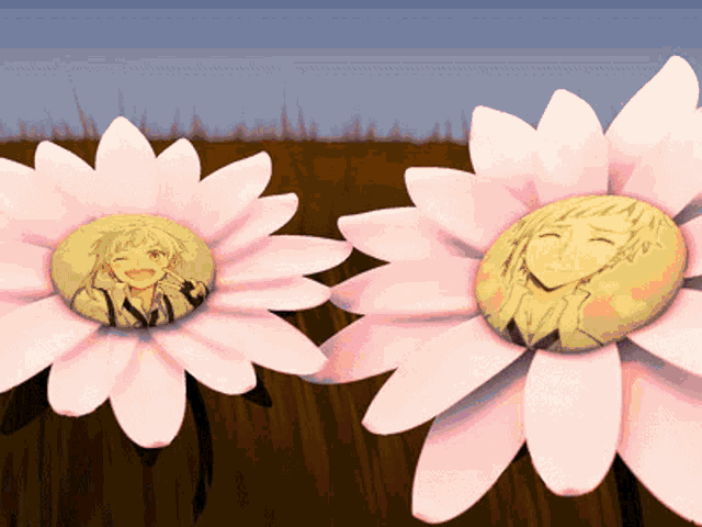 a couple of pink daisies with a picture of a boy in the center