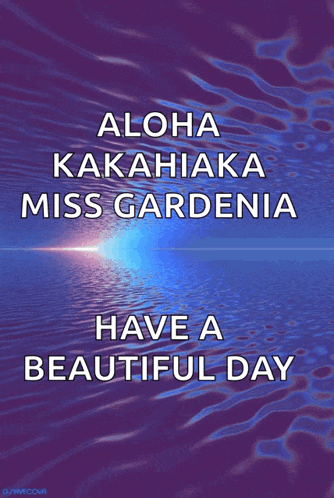 aloha kakahiaka miss gardenia have a beautiful day written on a purple background